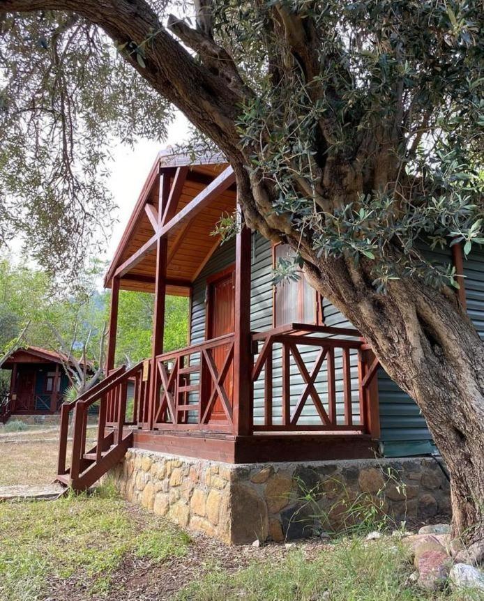 Eden Bungalows And Beach Koycegiz Exterior photo